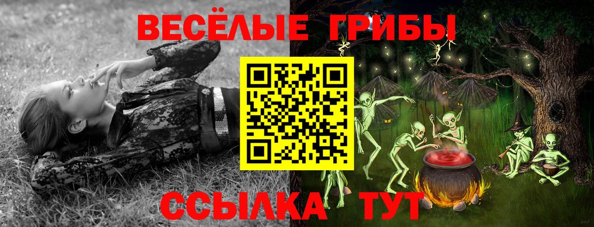 Менделеевск  Псилоцибиновые грибы Psilocybine cubensis  Галлюциногенные грибы ЛСД  Вход с VPN 